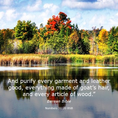 Picture 03 - Numbers 31:20 BSB - And purify every garment and leather good, - Bible Verse Picture