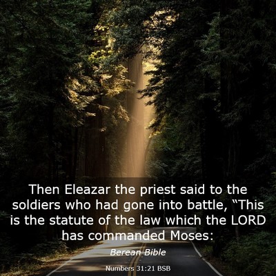 Picture 03 - Numbers 31:21 BSB - Then Eleazar the priest said to the soldiers who - Bible Verse Picture