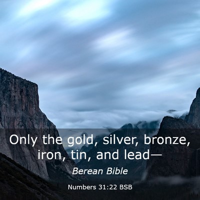 Picture 03 - Numbers 31:22 BSB - Only the gold, silver, bronze, iron, tin, and - Bible Verse Picture