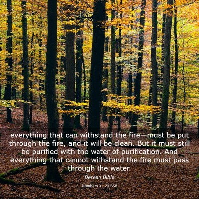 Picture 03 - Numbers 31:23 BSB - everything that can withstand the fire—must be - Bible Verse Picture