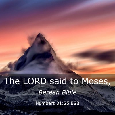 Picture 03 - Numbers 31:25 BSB - The LORD said to - Bible Verse Picture