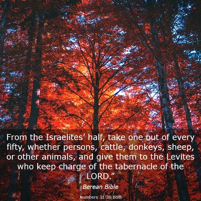 Picture 03 - Numbers 31:30 BSB - From the Israelites’ half, take one out of - Bible Verse Picture