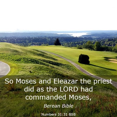 Picture 03 - Numbers 31:31 BSB - So Moses and Eleazar the priest did as the LORD - Bible Verse Picture