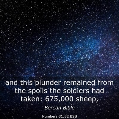Picture 03 - Numbers 31:32 BSB - and this plunder remained from the spoils the - Bible Verse Picture