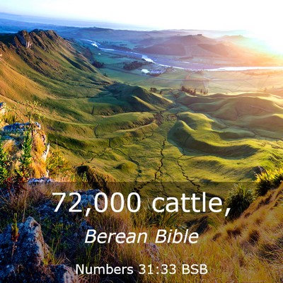 Picture 03 - Numbers 31:33 BSB - 72,000 - Bible Verse Picture