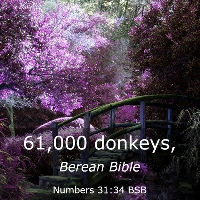 Picture 03 - Numbers 31:34 BSB - 61,000 - Bible Verse Picture