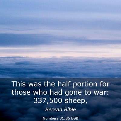 Picture 03 - Numbers 31:36 BSB - This was the half portion for those who had gone - Bible Verse Picture