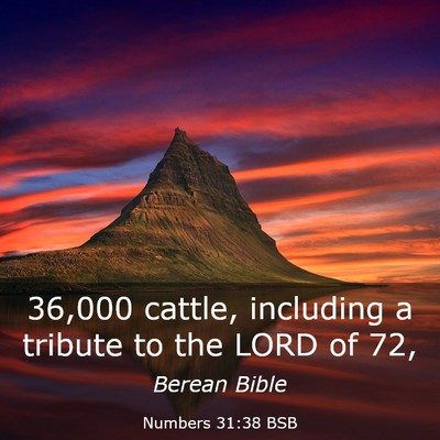 Picture 03 - Numbers 31:38 BSB - 36,000 cattle, including a tribute to the LORD of - Bible Verse Picture