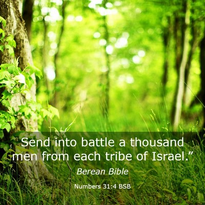 Picture 03 - Numbers 31:4 BSB - Send into battle a thousand men from each tribe - Bible Verse Picture