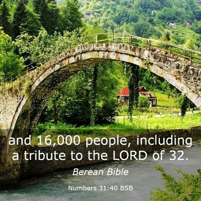 Picture 03 - Numbers 31:40 BSB - and 16,000 people, including a tribute to the - Bible Verse Picture