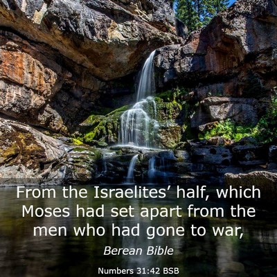 Picture 03 - Numbers 31:42 BSB - From the Israelites’ half, which Moses had set - Bible Verse Picture