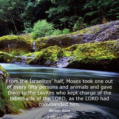 Picture 03 - Numbers 31:47 BSB - From the Israelites’ half, Moses took one out - Bible Verse Picture