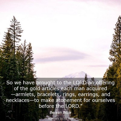 Picture 03 - Numbers 31:50 BSB - So we have brought to the LORD an offering of the - Bible Verse Picture