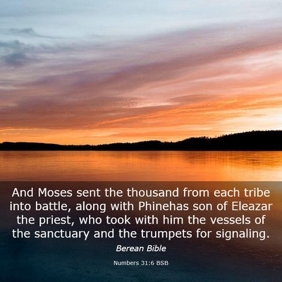 Picture 03 - Numbers 31:6 BSB - And Moses sent the thousand from each tribe into - Bible Verse Picture