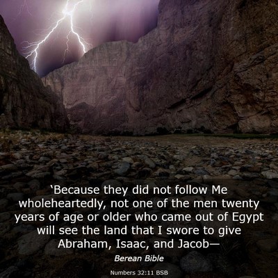 Picture 03 - Numbers 32:11 BSB - ‘Because they did not follow Me wholeheartedly, - Bible Verse Picture
