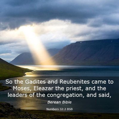 Picture 03 - Numbers 32:2 BSB - So the Gadites and Reubenites came to Moses, - Bible Verse Picture