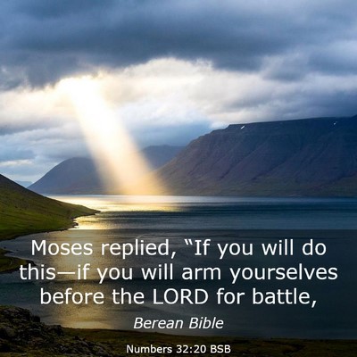 Picture 03 - Numbers 32:20 BSB - Moses replied, “If you will do this—if you - Bible Verse Picture