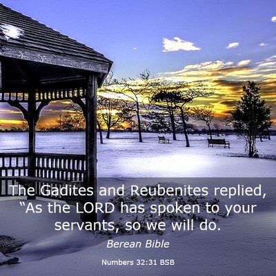 Picture 03 - Numbers 32:31 BSB - The Gadites and Reubenites replied, “As the - Bible Verse Picture