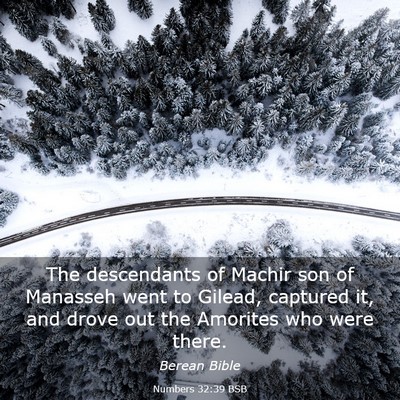 Picture 03 - Numbers 32:39 BSB - The descendants of Machir son of Manasseh went to - Bible Verse Picture