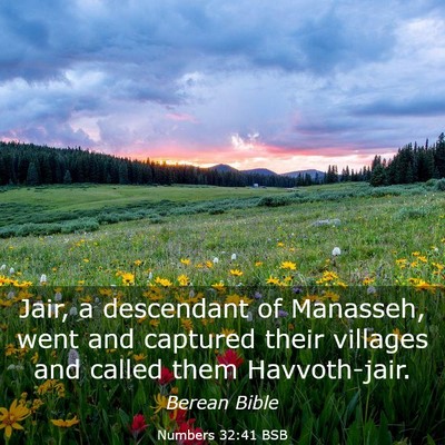 Picture 03 - Numbers 32:41 BSB - Jair, a descendant of Manasseh, went and captured - Bible Verse Picture