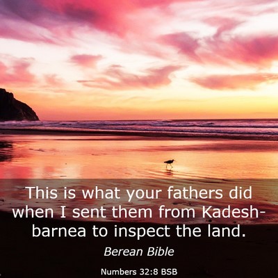 Picture 03 - Numbers 32:8 BSB - This is what your fathers did when I sent them - Bible Verse Picture