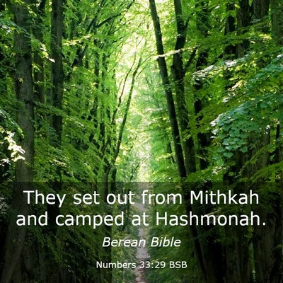 Picture 03 - Numbers 33:29 BSB - They set out from Mithkah and camped at - Bible Verse Picture