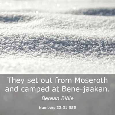 Picture 03 - Numbers 33:31 BSB - They set out from Moseroth and camped at - Bible Verse Picture