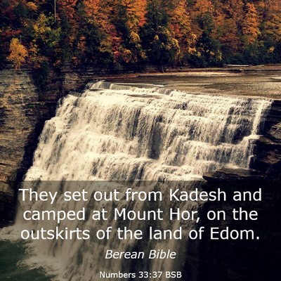 Picture 03 - Numbers 33:37 BSB - They set out from Kadesh and camped at Mount Hor, - Bible Verse Picture