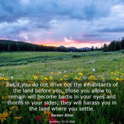 Picture 03 - Numbers 33:55 BSB - But if you do not drive out the inhabitants of - Bible Verse Picture
