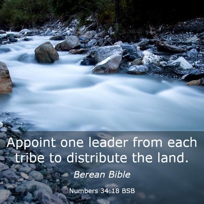 Picture 03 - Numbers 34:18 BSB - Appoint one leader from each tribe to distribute - Bible Verse Picture