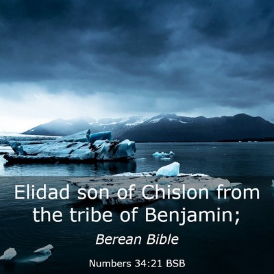 Picture 03 - Numbers 34:21 BSB - Elidad son of Chislon from the tribe of - Bible Verse Picture