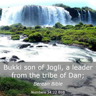 Picture 03 - Numbers 34:22 BSB - Bukki son of Jogli, a leader from the tribe of - Bible Verse Picture