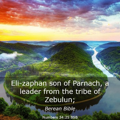 Picture 03 - Numbers 34:25 BSB - Eli-zaphan son of Parnach, a leader from the - Bible Verse Picture