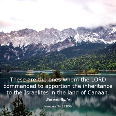 Picture 03 - Numbers 34:29 BSB - These are the ones whom the LORD commanded to - Bible Verse Picture