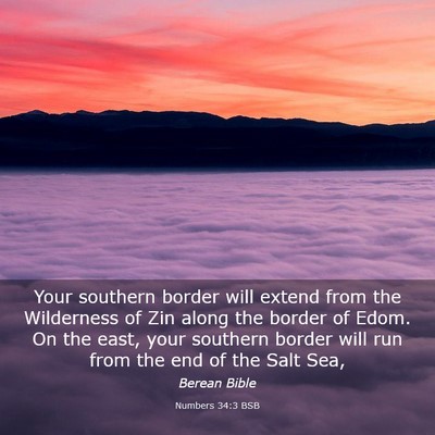 Picture 03 - Numbers 34:3 BSB - Your southern border will extend from the - Bible Verse Picture