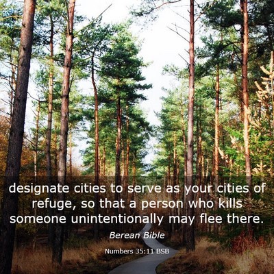 Picture 03 - Numbers 35:11 BSB - designate cities to serve as your cities of - Bible Verse Picture