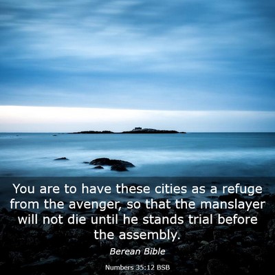 Picture 03 - Numbers 35:12 BSB - You are to have these cities as a refuge from the - Bible Verse Picture