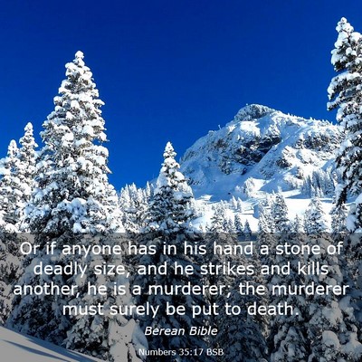 Picture 03 - Numbers 35:17 BSB - Or if anyone has in his hand a stone of deadly - Bible Verse Picture