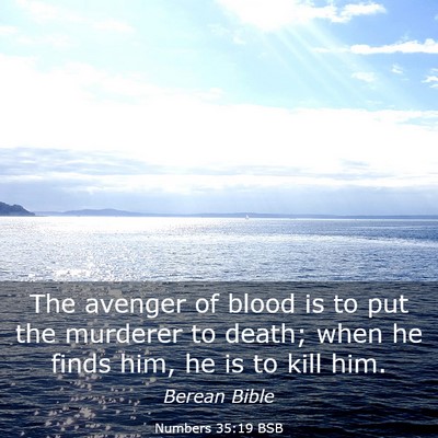 Picture 03 - Numbers 35:19 BSB - The avenger of blood is to put the murderer to - Bible Verse Picture