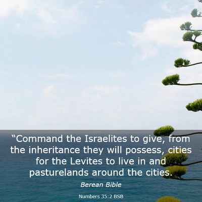 Picture 03 - Numbers 35:2 BSB - “Command the Israelites to give, from the - Bible Verse Picture
