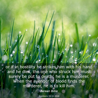 Picture 03 - Numbers 35:21 BSB - or if in hostility he strikes him with his hand - Bible Verse Picture