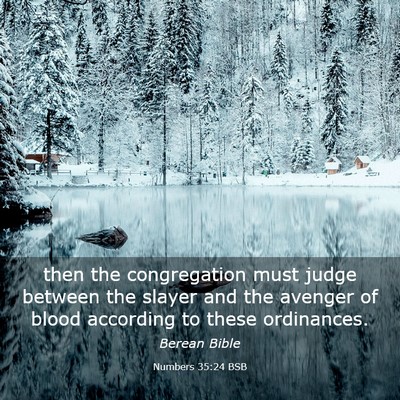 Picture 03 - Numbers 35:24 BSB - then the congregation must judge between the - Bible Verse Picture