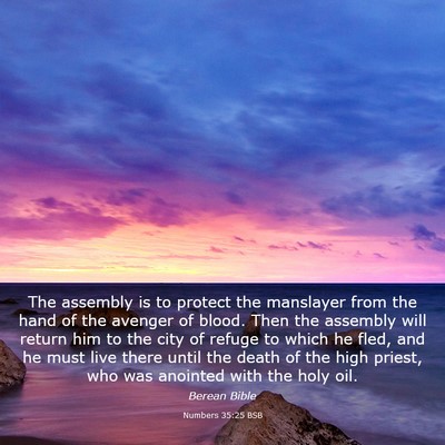 Picture 03 - Numbers 35:25 BSB - The assembly is to protect the manslayer from the - Bible Verse Picture