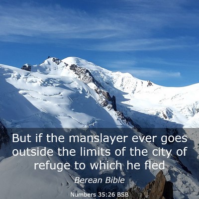 Picture 03 - Numbers 35:26 BSB - But if the manslayer ever goes outside the limits - Bible Verse Picture