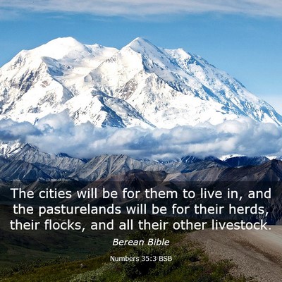 Picture 03 - Numbers 35:3 BSB - The cities will be for them to live in, and the - Bible Verse Picture