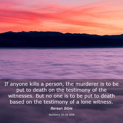Picture 03 - Numbers 35:30 BSB - If anyone kills a person, the murderer is to be - Bible Verse Picture