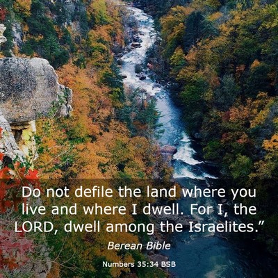 Picture 03 - Numbers 35:34 BSB - Do not defile the land where you live and where I - Bible Verse Picture
