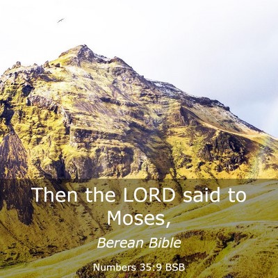 Picture 03 - Numbers 35:9 BSB - Then the LORD said to - Bible Verse Picture