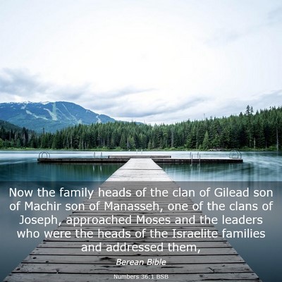 Picture 03 - Numbers 36:1 BSB - Now the family heads of the clan of Gilead son of - Bible Verse Picture