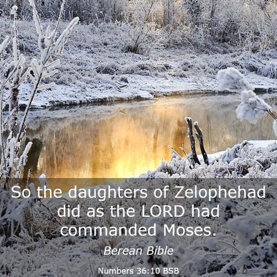 Picture 03 - Numbers 36:10 BSB - So the daughters of Zelophehad did as the LORD - Bible Verse Picture